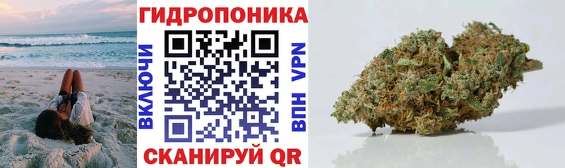 Канабис план  Купить закладки  Артёмовск 